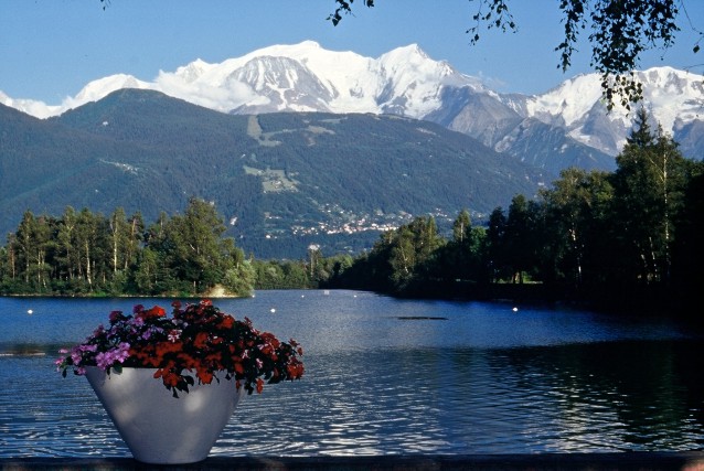 Mass&iacute;s del Mont Blanc des de Sallanches