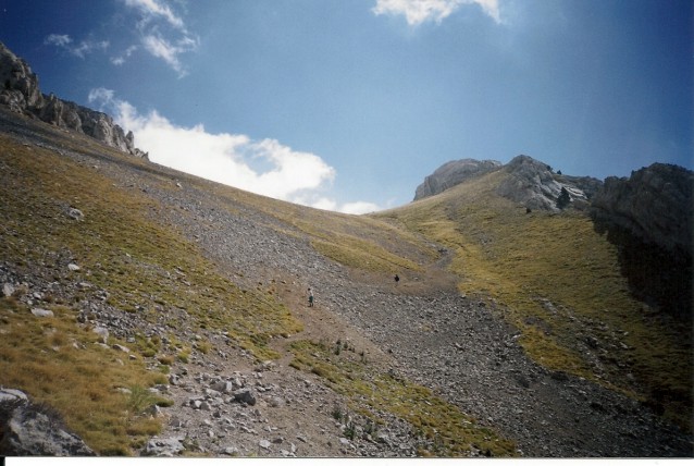 Tartera de G&ograve;sol