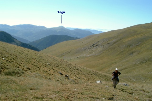 Ja&ccedil;a del Ginestar