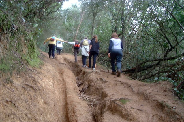 Les 2 rodes han fet malb� la natura