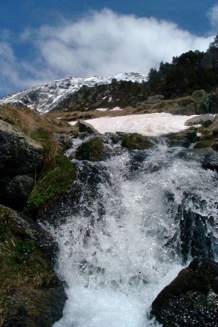 Aig&uuml;es de les Basses del Siscar&oacute;