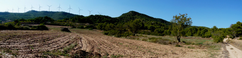 Serra de Vilob&iacute;