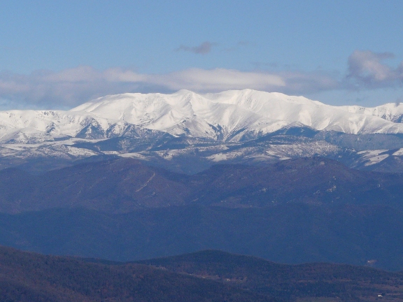 Canig&oacute;