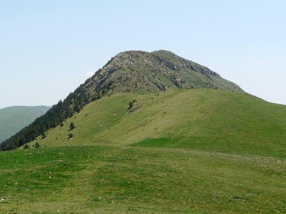 Puig Estela