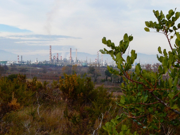 La Petroqu&iacute;mica