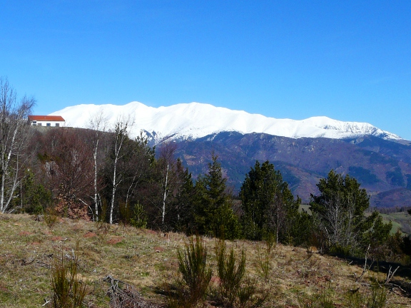 Mass&iacute;s del Canig&oacute;