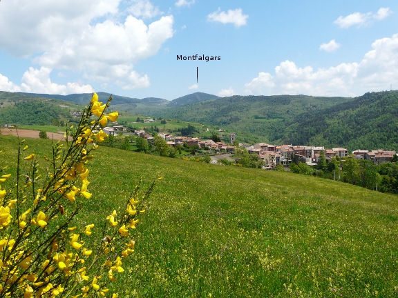 Moll&oacute;